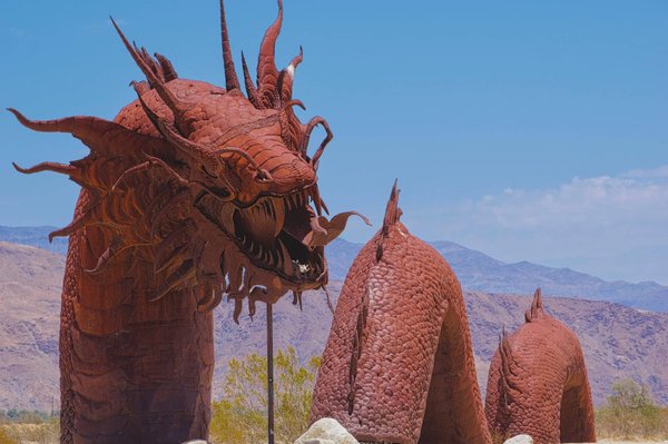 Comment gérer la mue d'un serpent à la maison ?