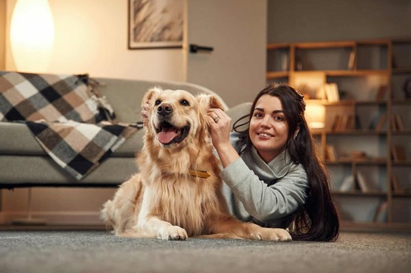 Que faut-il savoir sur la race de chiens Golden Retriever ?